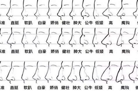 福鼻面相|相学最有福气的7种鼻子 面相中最有福气的7种鼻子